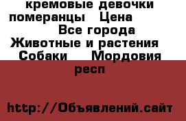 кремовые девочки померанцы › Цена ­ 30 000 - Все города Животные и растения » Собаки   . Мордовия респ.
